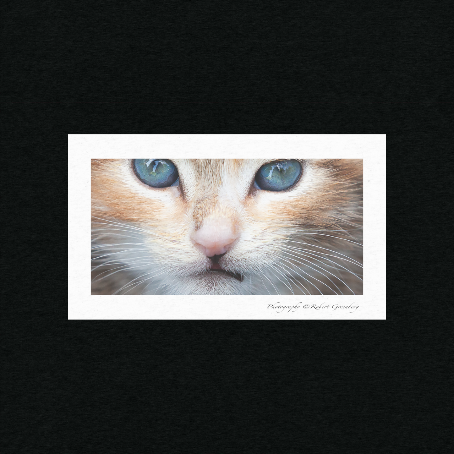 Kitten Cropped on Black Version 1 - Tri-Blend Bella 3413 Short sleeve t-shirt