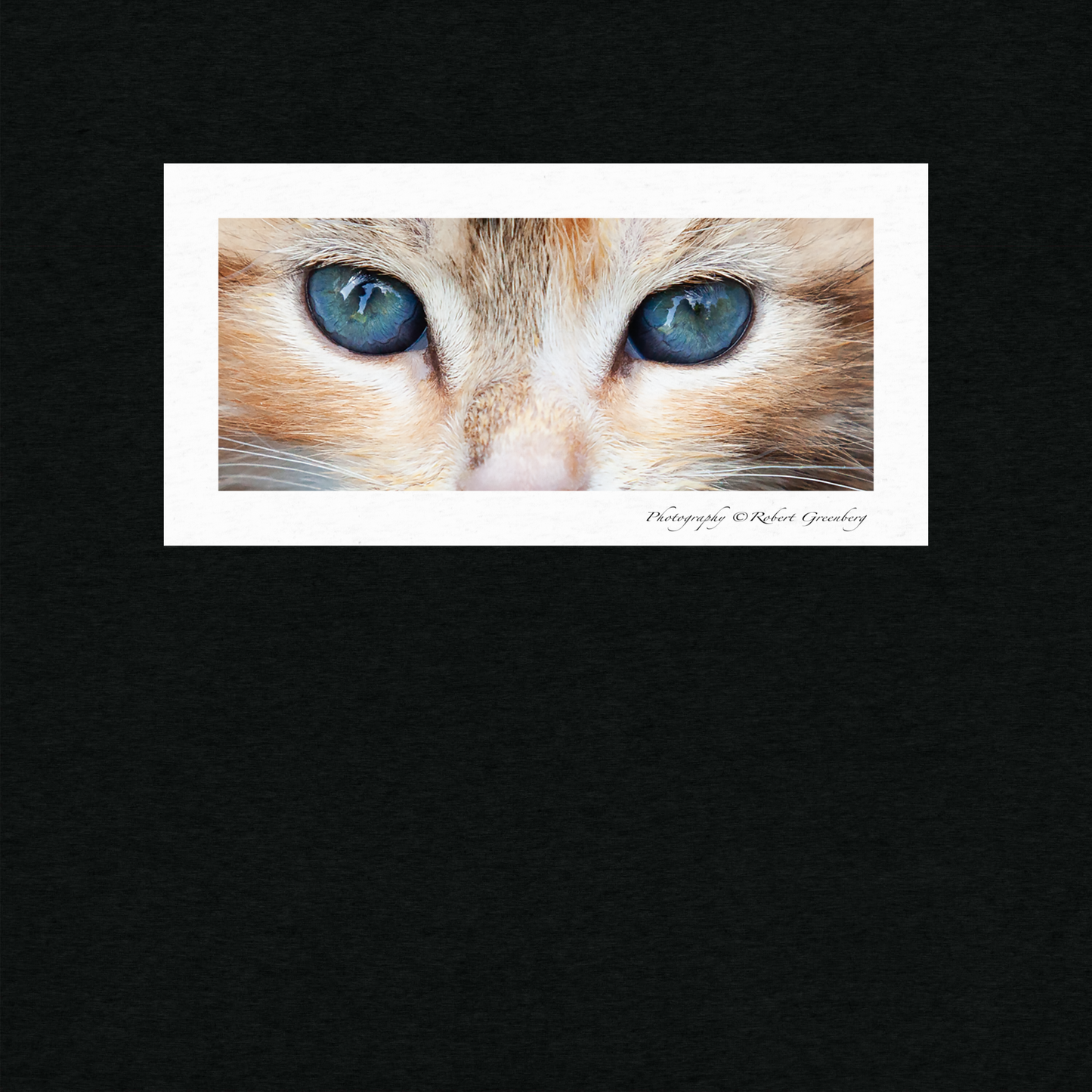 Kitten Cropped on Black Version 1 - Tri-Blend Bella 3413 Short sleeve t-shirt