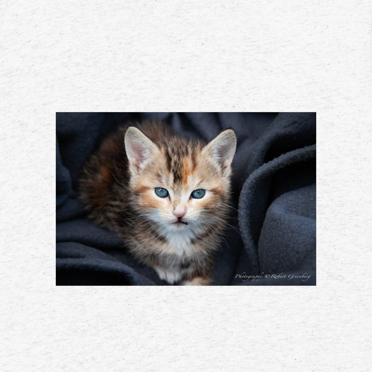 Kitten on White - Tri-Blend Bella 3413 Short sleeve t-shirt