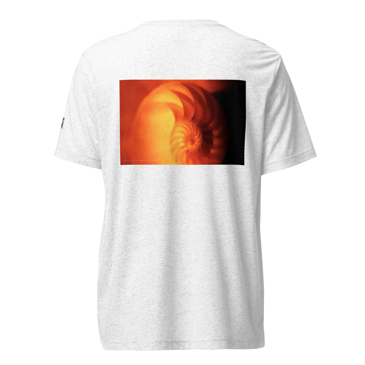 Nautilus Shell - White - Tri-Blend Bella 3413 short sleeve t-shirt