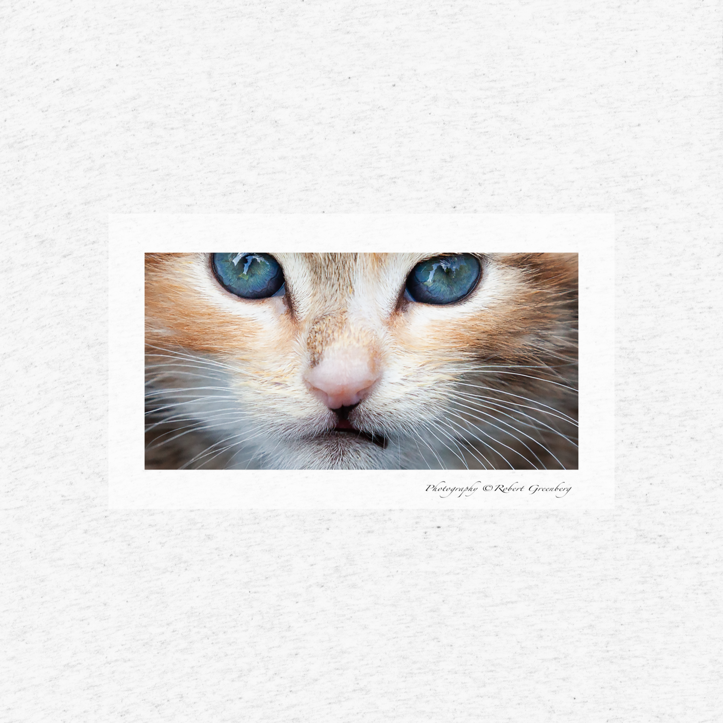 Kitten Cropped on White - Tri-Blend Bella 3413 Short sleeve t-shirt